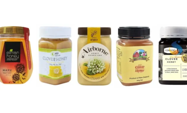 madu clover terbaik