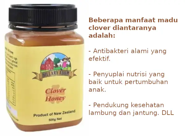 manfaat madu clover