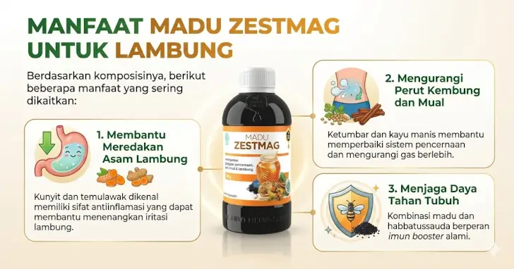 manfaat madu Zestmag untuk lambung