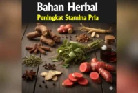 bahan herbal peningkat stamina pria