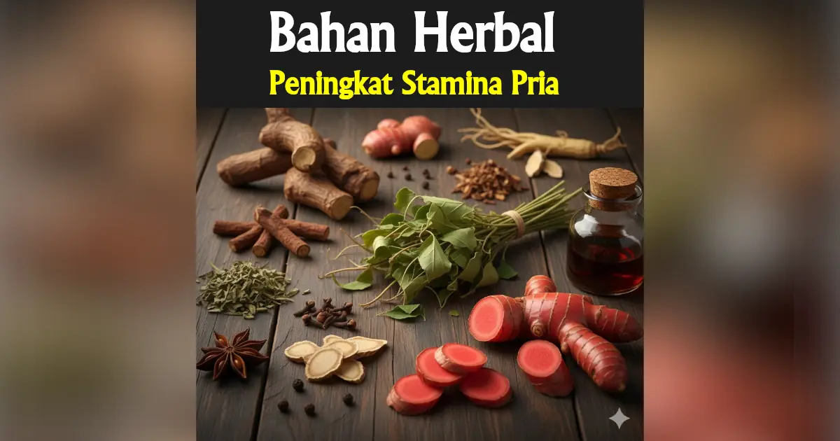 bahan herbal peningkat stamina pria